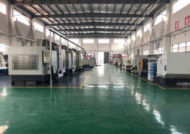 Corporate Live Shooting