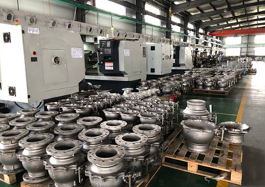 Corporate Live Shooting