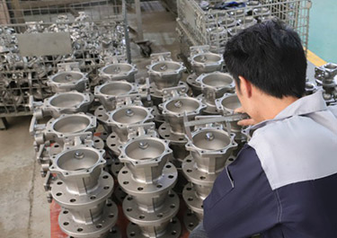 Corporate Live Shooting