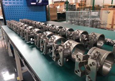 Corporate Live Shooting